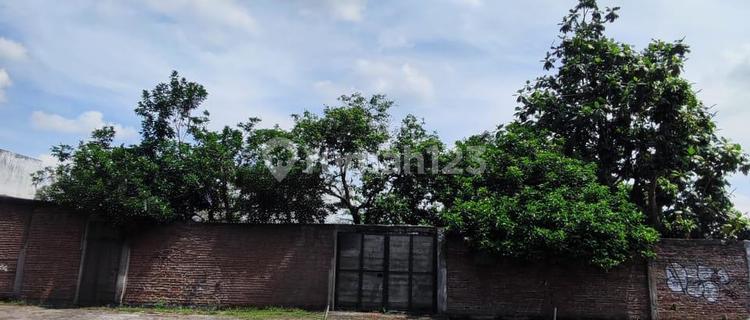 Dijual Tanah Strategis Di Mulawarman Tembalang  1