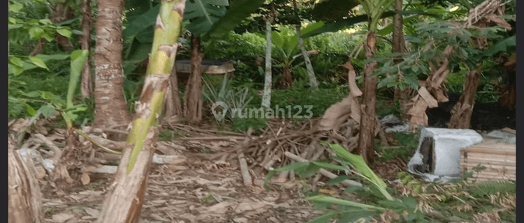 Tanah Siap Pakai di Jalan Parit Demang 1