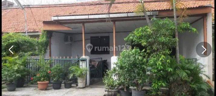 Dijual Rumah Asri Di Pusat Kota Bendungan Hilir Pejompongan 1