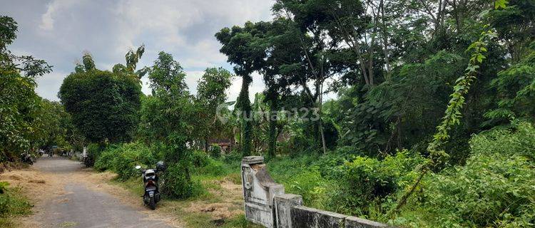 Tanah Permukiman Mojowangi Pusat Mojowarno 1