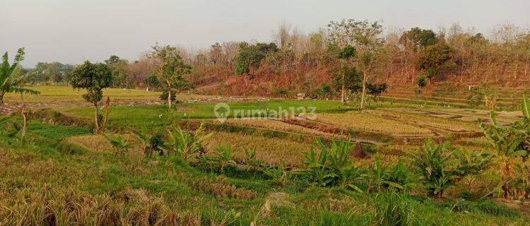 Tanah di Sumberkembar, Pacet Mojokerto SHM 1