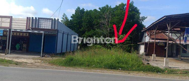 TANAH STRATEGIS DEKAT WISATA BUKIT KELAM SINTANG 1