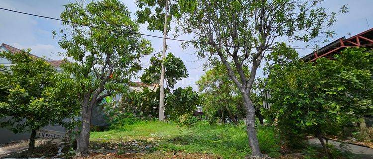 Tanah luas di Metlend Cakung Jakarta Lokasi Bagus 1