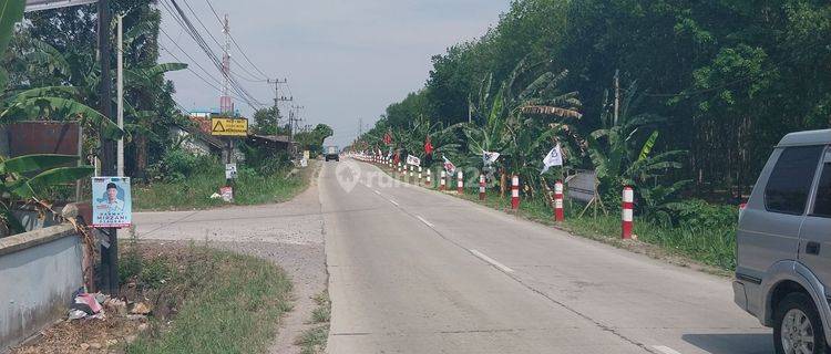 DI JUAL TANAH KAWASAN INDUSTRI TANJUNG BINTANG LAMPUNG SELATAN 1