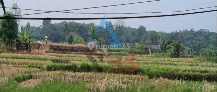 Dijual Cepat Murah Sebidang Tanah di Pinggir Jalan Utama Bypass Ida Bagus Mantra Lebih Tulikup Gianyar Bali. 1