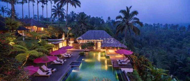 SUPER LUXURY VILLA IN UBUD 1