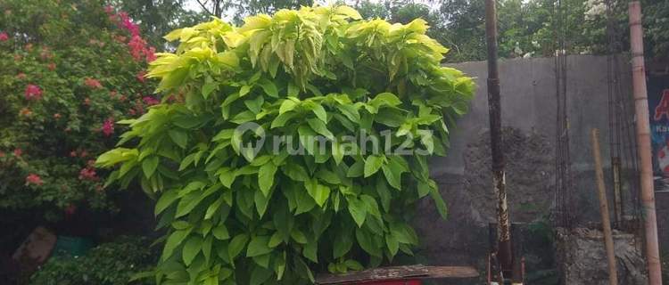 Tanah Dan Bangunan Di Cengkareng Jkt Barat 1