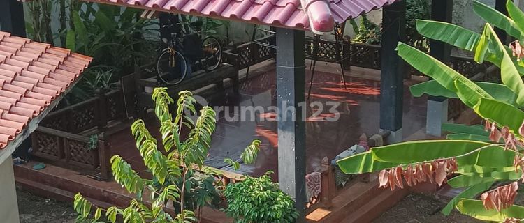 Price Drop House Suitable for Business Location on Bintaro Street Side 1
