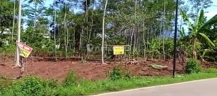Dijual Tanah lokasi Bagus Singorojo Kendal Tanah Ngantong 4.740 M2 SHM 1