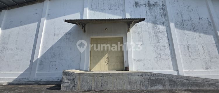 Disewakan Gudang Di Area Genuk Semarang  1