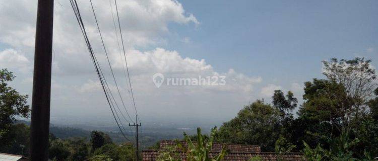 V1 Dijual Cepat Tanah Kebun Luas di Daerah Prigen Pandaan 1