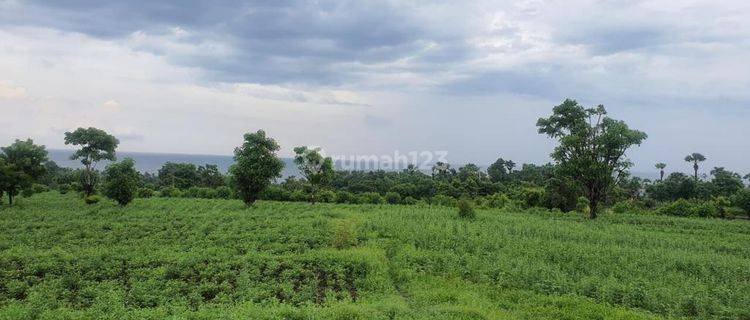 For Sale Bali Resort Land with Ocean View Located in Tulamben, Kubu, Karang Asem, Bali 1