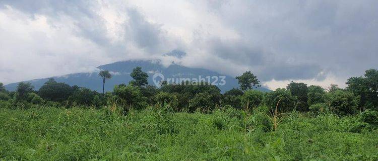 Land for Sale in Bali Located in Tulamben, Karang Asem, Bali One of the Best Diving Spots in the World 1