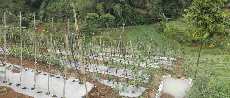 TANAH SUKABUMI KAVLING KEBUN KOMERSIL USAHA di Kota Sukabumi Tanah 1