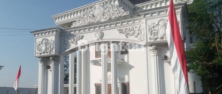 Rumah Mewah Luas di Lumajang 1