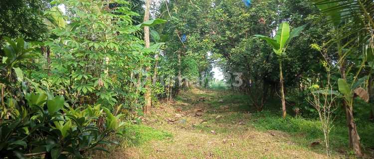 Jual Tanah Di Tanjung Rasa Jonggol Bogor 1