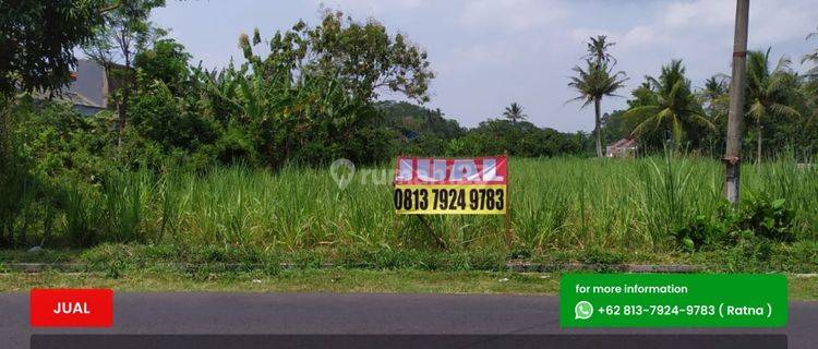 Tanah luas poros jalan raya Panarukan Kepanjen 1