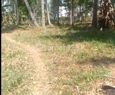 Dijual cepat Tanah HARGA DIBAWAH NJOP di sayap pasteur Bandung 1