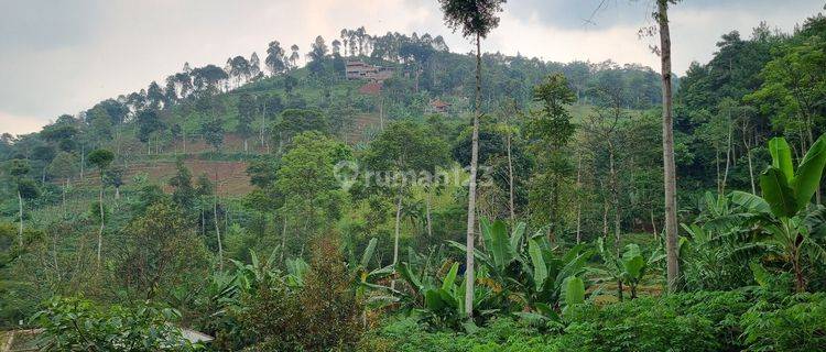 Dijual Murah Kolam Pemancingan dan Villa di Ujungberung, Bandung 1