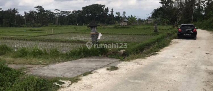 Tanah Dengan View Sawah Di Pejeng Ubud , Bagus Untuk.villa  1