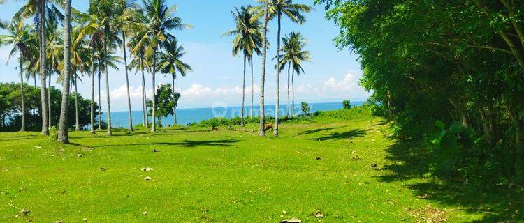 Tanah loss pantai di desa cupel, jembrana, sudah ada beberapa villa di sekitarnya 1