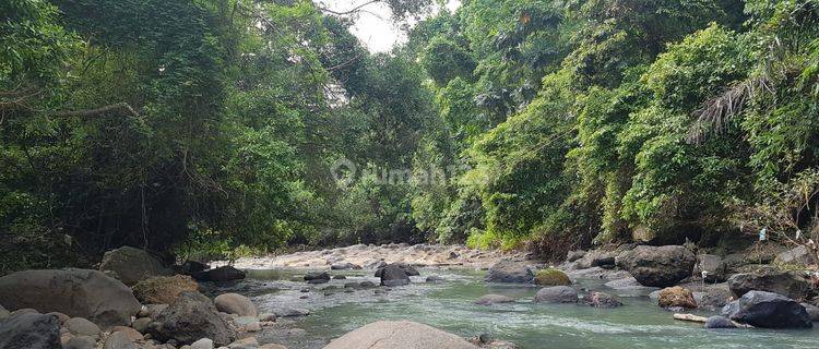 Land with views of rice fields and the river behind it, a few minutes to the Mengwi Gilimanuk toll gate 1