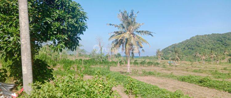 Flat Land In Lancing Mekarsari Lombok For Sale , Walking Distance To The Beach , Ready Small. Plot Starting @500 Sqm 1