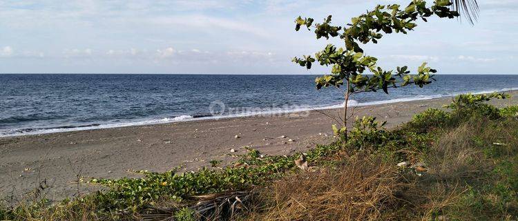 Tanah Tambak di Lombok Timur Langsung Pantai Datar Bukan Tebing Tanah Datar  1