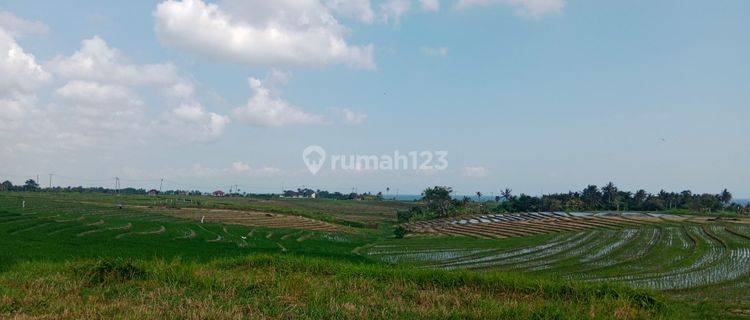 Tanah di tabanan  arah pantai kelecung dengan view sawah dan laut hanya beberapa ratus meter ke pantai 1