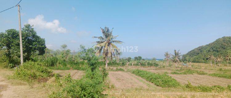 Tanah Datar Dengan Akses Jalan Kaki Ke Pantai  Lancing  Lancing Lombok Tengah, Sudah Banyak Villa Dan Resort Di Sekitarnya 1