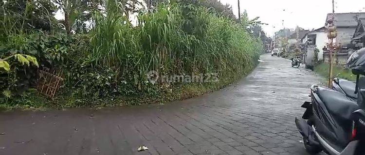 Tanah Kebun Di Luwus Zona Kuning Cocok Utk Tanah Kaveling Di Belakang Joger Luwus Harga Sangat Menarik 1