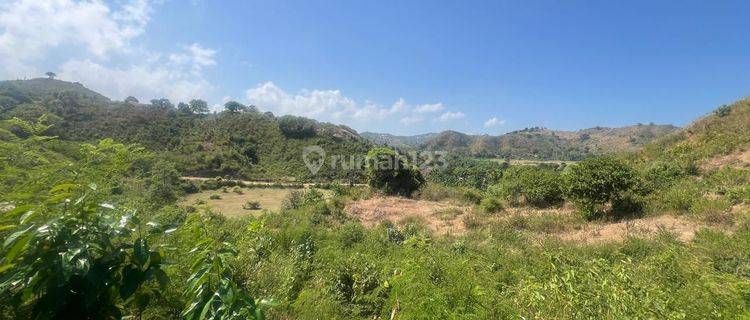 Tanah DiMawun Dengan View Bukit, Akses Tidak Jauh Dari Area Wisata Dan Pantai, Harga Sangat Menarik  1