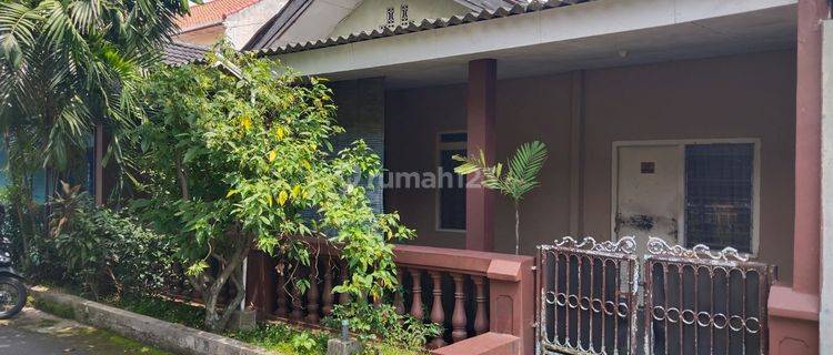 Dijual Cepat Rumah Di Elang 1