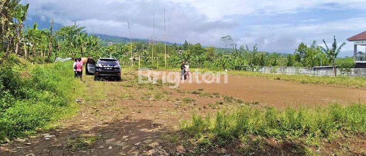 MURAH TANAH VILLA CIAWI MEGAMENDUNG BOGOR 1