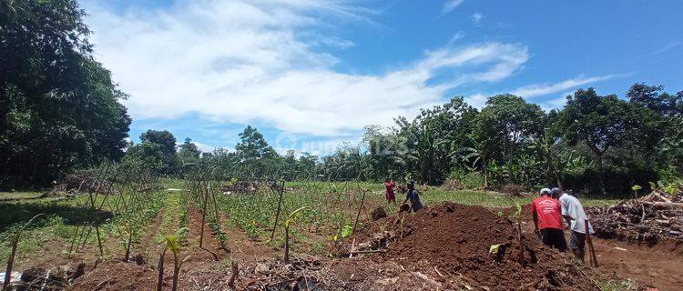 Tanah Murah Cisauk, Luas 160m Pas Bangun Rumah 1