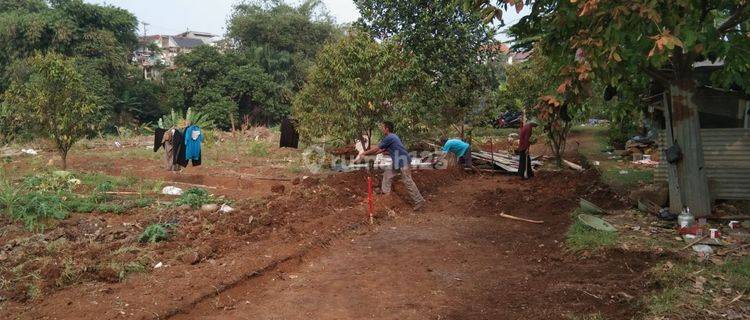 Tanah Kavling SHM Perunit, Dalam Perumahan Taman Yasmin 1