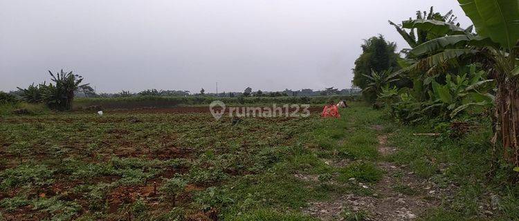 Kavling Murah Dekat Jl. Raya Sukahati, Hanya 100 Jutaan 1