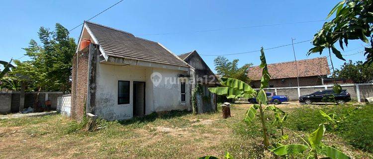 Jual Rumah, Wayut, 500 M Jalan Ringroad Barat Kota Madiun  1