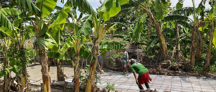 Tanah Madiun, Winongo, 5 Menit Rs Hermina Madiun  1