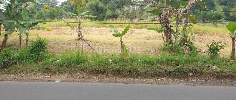 Di Jual Tanah Sertifikat Hak Milik Cijayanti, Bogor 1