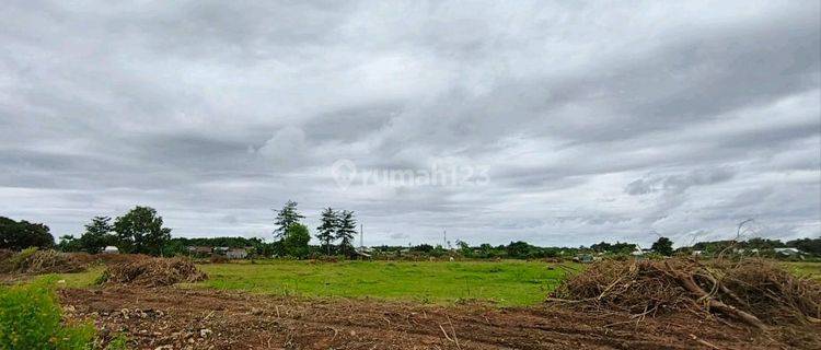 Di Sewakan Tanah Pergudangan Cocok Untuk Industri 1