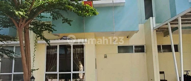 Di Sewakan Rumah Full Furnished Tanjung Bunga 1