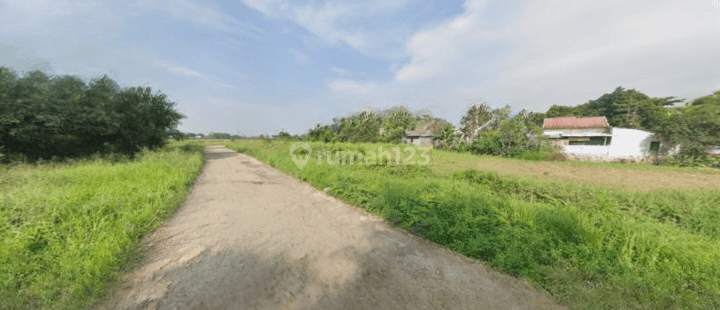 Jual Tanah Kavling Murah di Tangerang Selatan, 10 Menit Mall Paradise Walk Serpong 1