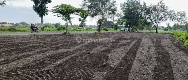 Dijual Tanah Kavling Dekat Stasiun Pondok Rajeg, Akses Mudah  1