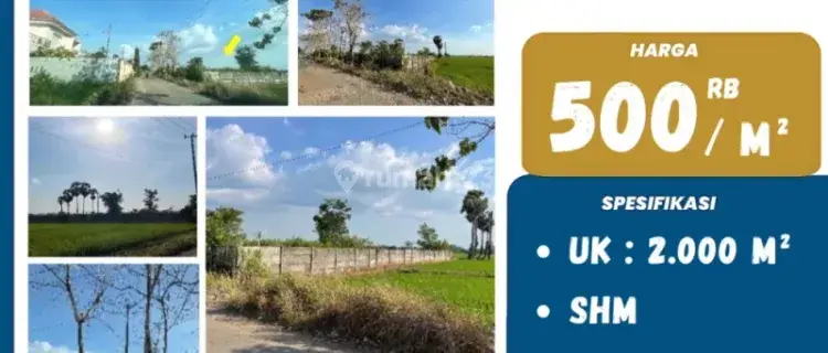 DIJUAL TANAH MURAH CUMA 500 RIBUAN DI POROS KALUKUANG 1