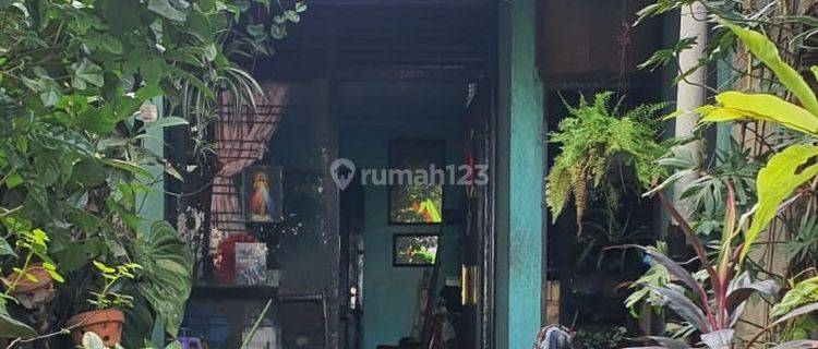 Di Jual Rumah Tua Hitung Tanah Kawasan Kebon Kelapa Bogor 1