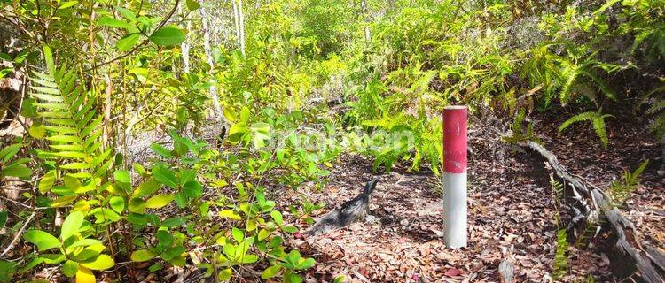 TANAH LOKASI DEKAT BANDARA LETUNG ANAMBAS 1