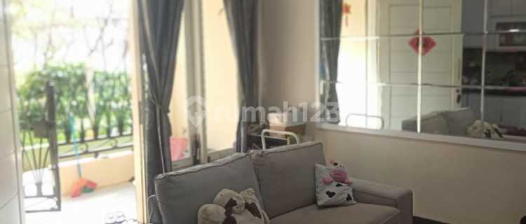 Disewakan Penthouse,furnish,rapi Di Apartemen Teluk Intan,jmbtn2 1