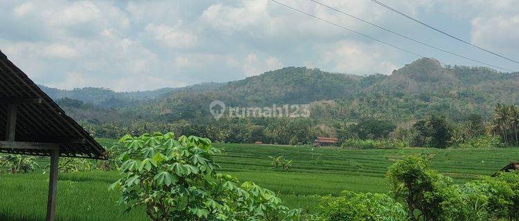 Tanah View Sawah Teras Siring Dan Bukit Menoreh 1