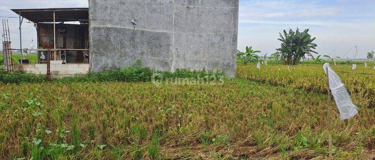 DIJUAL TANAH SIAP BANGUN DEKAT KAWASAN INDUSTRI DAN GERBANG TOL KARAWANG BARAT.  1